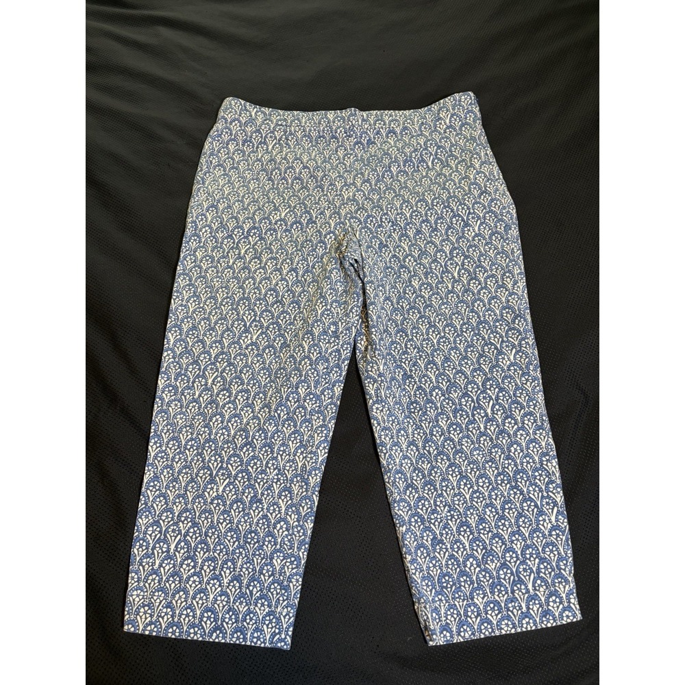 Talbots Cropped Capri Pants~Petite 14~Cotton Flat Front Blue Ditsy Floral Preppy